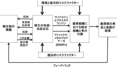ダウンレギュレート 意味.